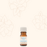 Chamomile Roman Essential Oil - 5% in jojoba